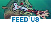 Juegos de feed us